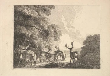 A Group of Stags Drinking, 1784-88