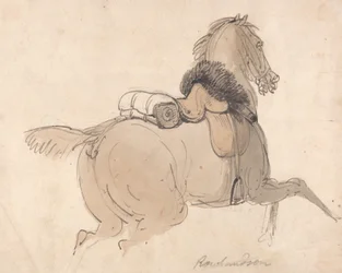 A Saddled Cavalry Horse