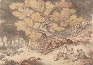 A Woodcutter