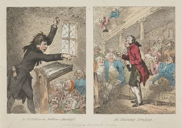 An Essay on the Sublime and Beautiful, The Maiden Speech