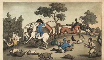 Johnny and a Lady Crash a Gig in a Herd of Swine. Handcoloured Copperplate Engraving by W. Read after an Illustration by Thomas Rowlandson from Alfred Burton