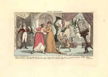 Man being attacked by a parrot and cat in a drawing room