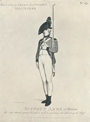 Support Arms 2nd Motion