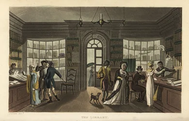 The Library