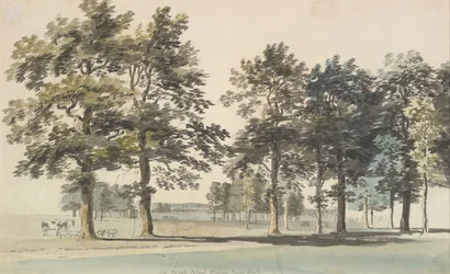 The Moat Island, Windsor Great Park