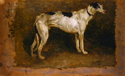 A Lurcher