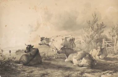 Cattle Lying near a Fence