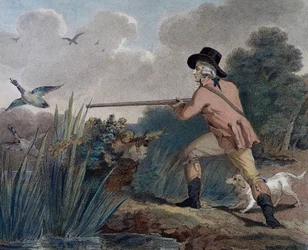 Duck Hunting