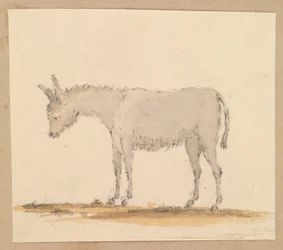 Study of a Donkey, c.1820