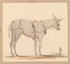 Study of a donkey with a bridle and harness