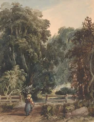 Girl on Lane, Entering Wooded Area