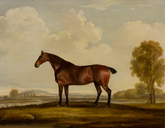 Georgiana: a Horse