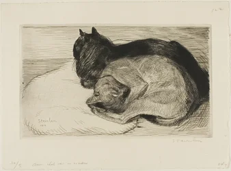 Two Cats on a Cushion