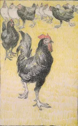 Cockerel, Followed by Black and White Hens