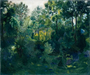 Forest Interior