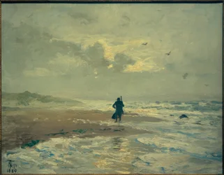 Beach View. Grenen near Skagen
