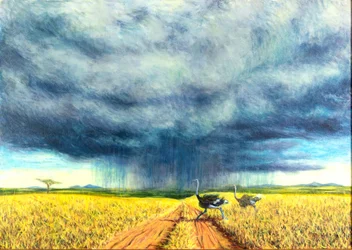 African Storm