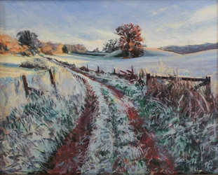 Frozen Morning