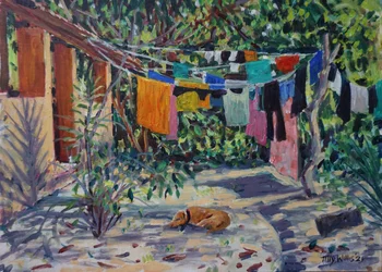 Laundry Shadows 2021