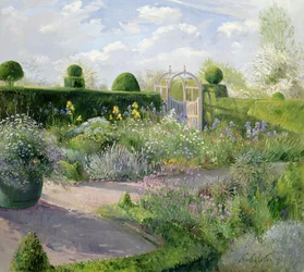Irises in the Herb Garden, 1995