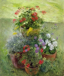 Shaded Pots