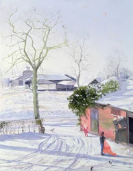 Winter Sheds