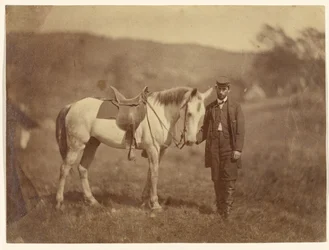 Federal Army Scout