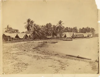 [Huts, Palm Trees and Beach, Isthmus of Darién (Panama)]