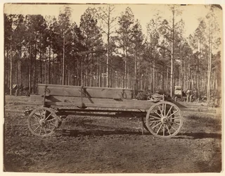 [Wagon with Oblong Box Possibly Carrying Guns or Rifles]