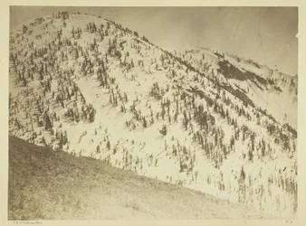 Snow Peaks, Bull Run Mining District, Nevada