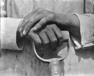 Hands of a Construction Worker, Mexico
