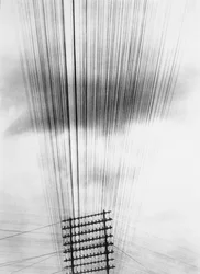 Telephone Wires, Mexico