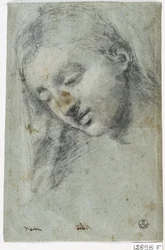 Head of a Woman