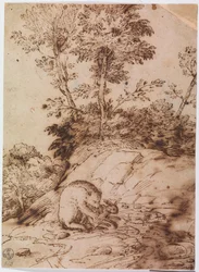 A Bear Eating a Rabbit