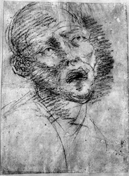 Head of a Moor, c1525, 1937