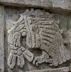 Relief of an Eagle, Temple of Quetzalcoatl