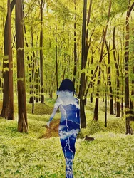 Inner Storm Forest Walk