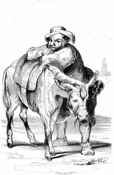 Sancho Panza (Panca), squire of Don Quixote (Quijote, Quixote), and his donkey. Illustration of Cervantes