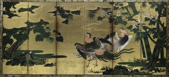 Phoenixes and Paulownia