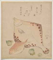Flounder, sea bream with fukujusō buds