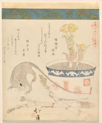 Rat and New Year