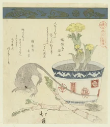 Rat and Bowl with Adonis (series title: A Series of Thirty-Six Birds)
