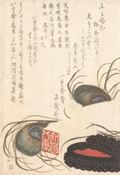 Seal-stone and Seal-ink with Peacock Feathers, from Spring Rain Surimono Album H..., probably 1817