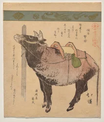 Tethered Ox