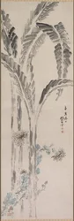 Banana Plant and Chrysanthemum, 19th century
