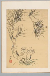Pine Tree and Fungus, 19th century