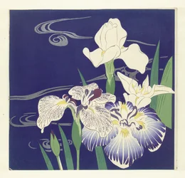 Irises
