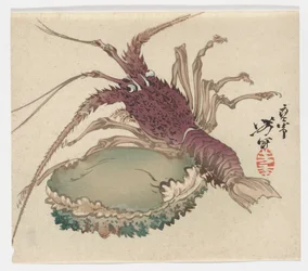 Lobster and Abalone