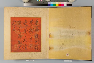 Album of Hawks and Calligraphy