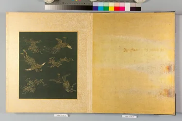 Album of Hawks and Calligraphy